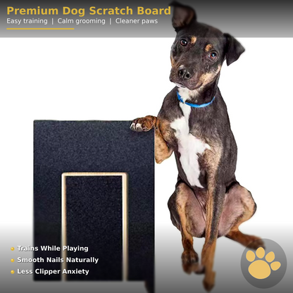 Premium Dog Nail Scraper Board with Treat Box