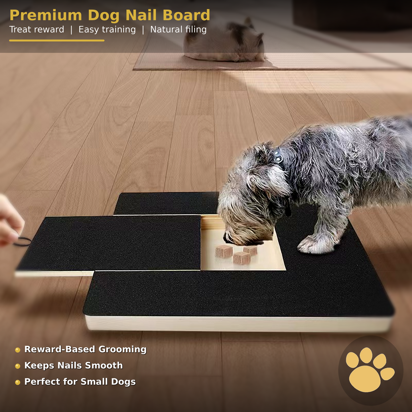 Premium Dog Nail Scraper Board with Treat Box